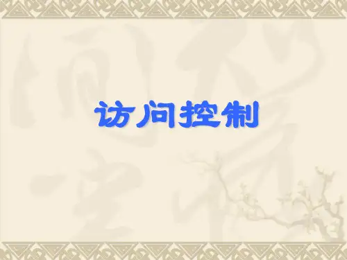 访问控制S-11