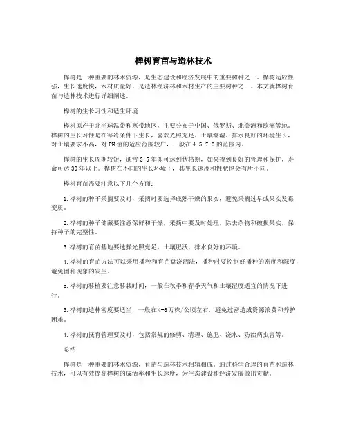 桦树育苗与造林技术