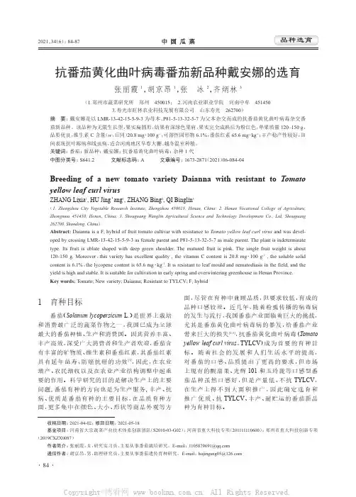 抗番茄黄化曲叶病毒番茄新品种戴安娜的选育