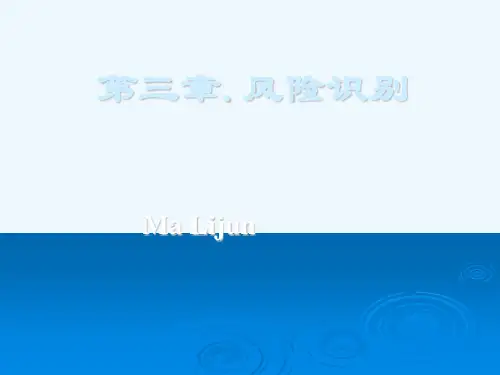 风险识别的特点与方法PPT(43张)