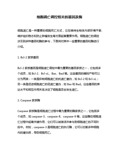 细胞凋亡调控相关的基因及酶