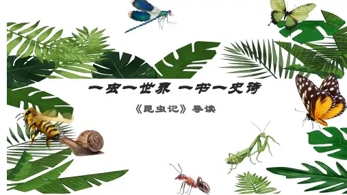 《昆虫记》名著导读ppt课件
