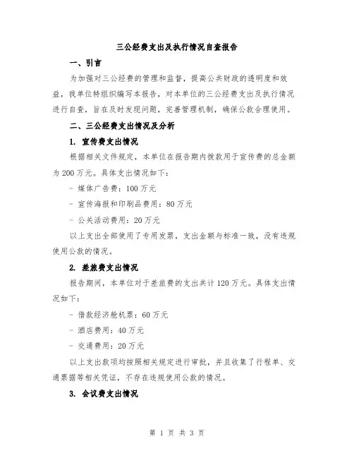 三公经费支出及执行情况自查报告