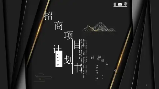 黑金商务项目招商计划书PPT模板课件