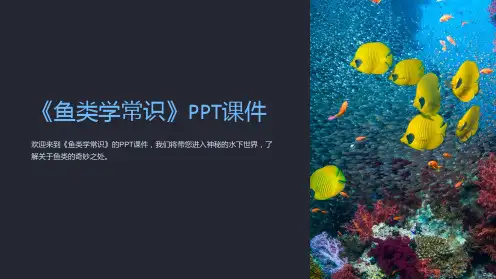 《鱼类学常识》课件