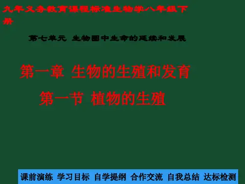 人教版八年级下册生物第七单元第一章第一节植物的生殖35张ppt