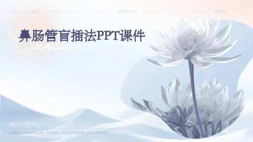 鼻肠管盲插法ppt课件