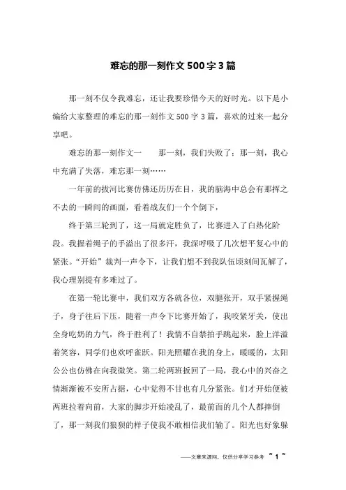 难忘的那一刻作文500字3篇