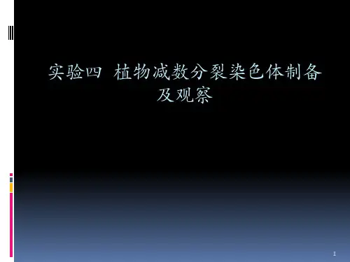 植物减数分裂染色体制备PPT幻灯片