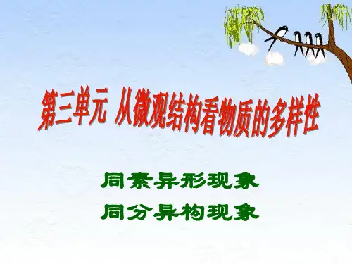 苏教版高中化学必修二 1.3.1 同素异形体和同分异构体 课件 (共23张PPT)