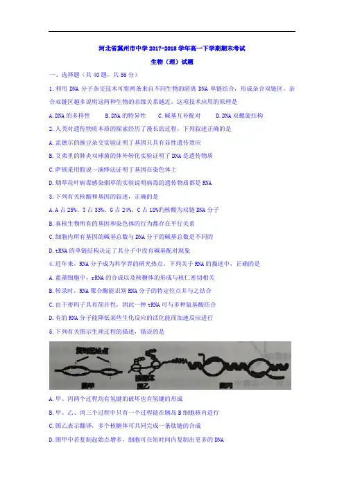 河北省冀州市中学2017-2018学年高一下学期期末考试生