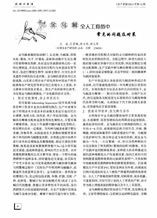 金乌贼全人工育苗中常见的问题及对策