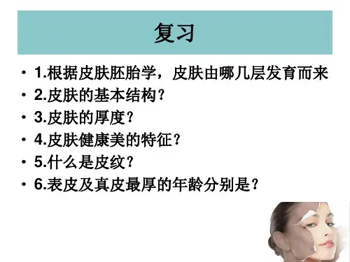 3-4表皮组织与生物学
