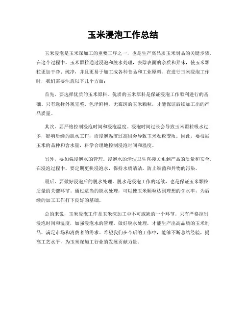 玉米浸泡工作总结