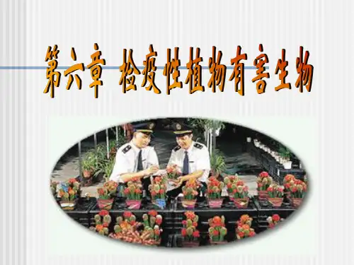 第六章 检疫性植物有害生物-杂草