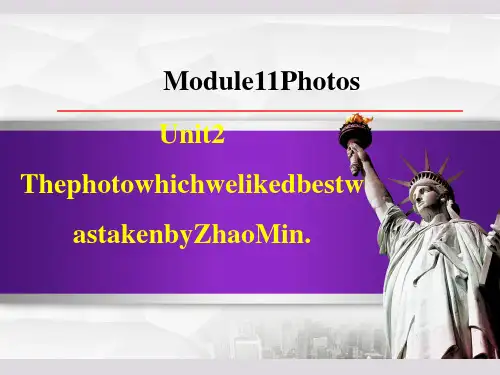 外研版九年级上册英语Module 11 Unit 2 The photo which we授课课件