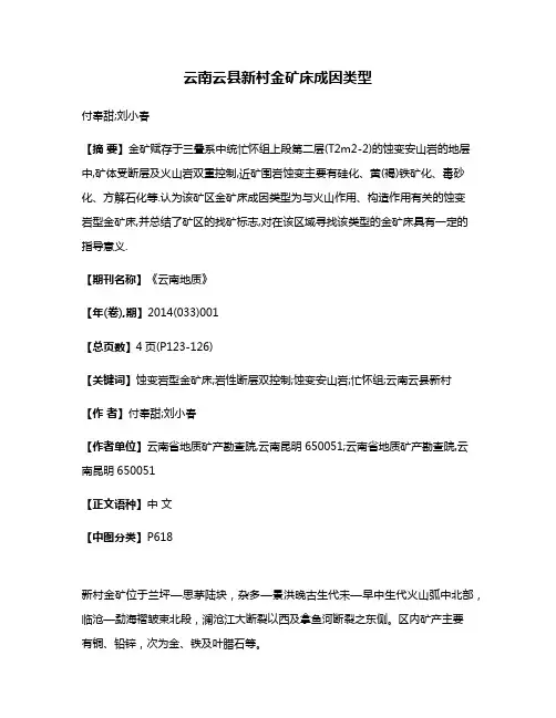 云南云县新村金矿床成因类型