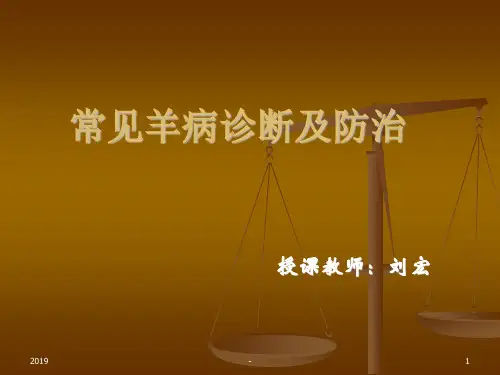 羊病诊断与防治ppt课件