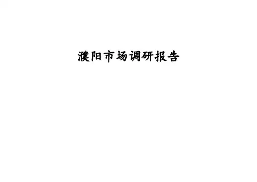 濮阳市场调研报告(2015年)
