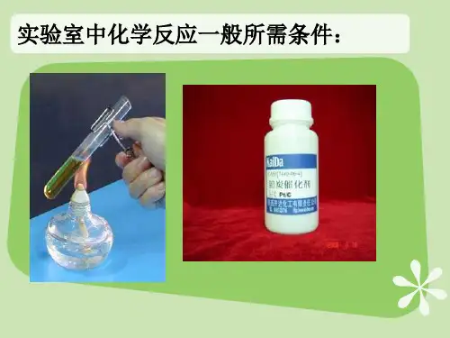 人教版高中生物必修一第五章《细胞的能量供应和利用》课件