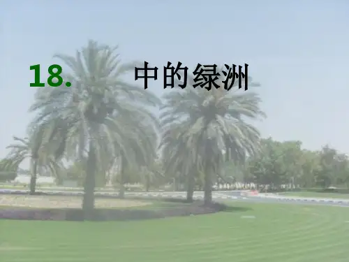 《沙漠中的绿洲》PPT课件