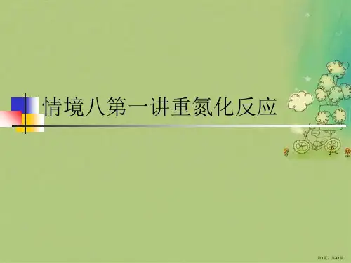 情境八第一讲重氮化反应