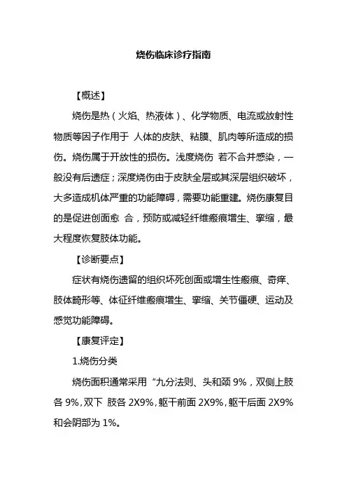 烧伤临床诊疗指南