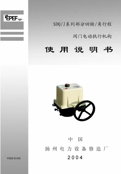 SDQ 中文说明书