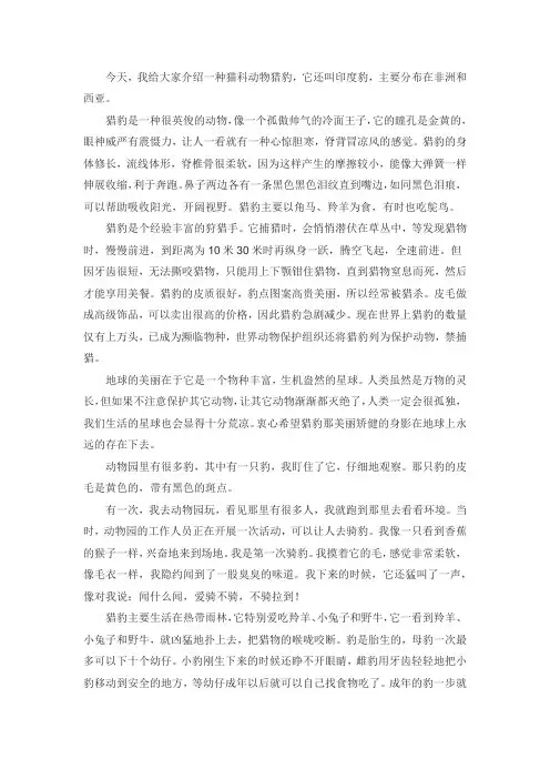 猎豹的特征和外貌特点作文