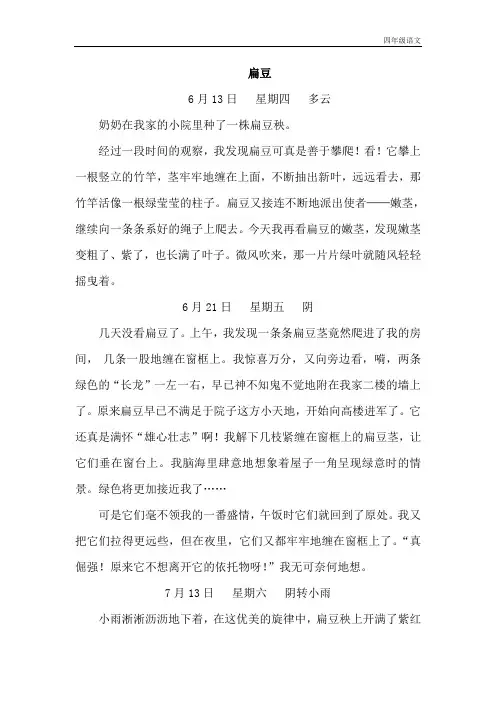 新人教部编版小学四年级语文上册习作例文 (6)