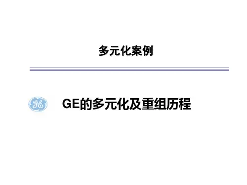 GE多元化案例分析解析