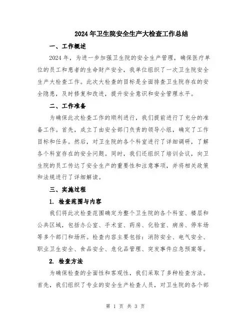 2024年卫生院安全生产大检查工作总结