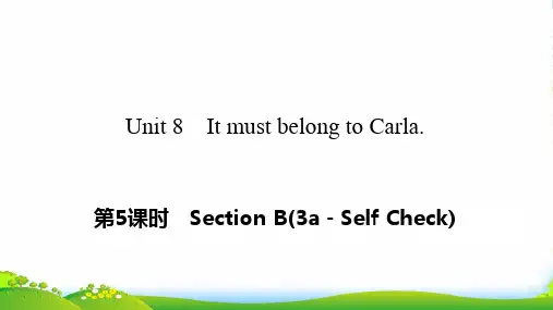 人教版九年级上册英语课件：Unit 8 Section B