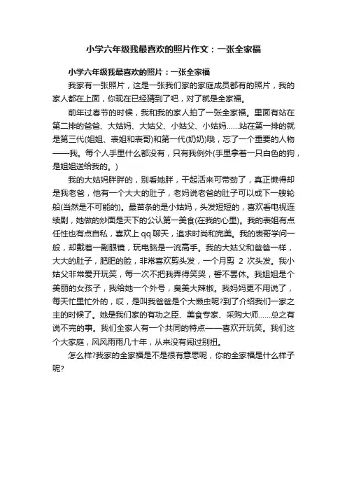 小学六年级我最喜欢的照片作文：一张全家福