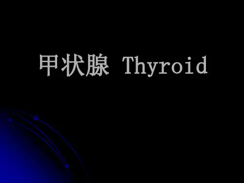 甲状腺局部解剖