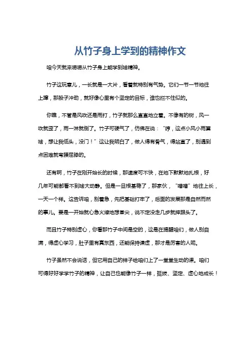 从竹子身上学到的精神作文