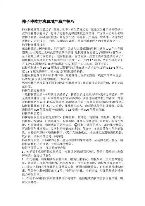 柿子种植方法和增产稳产技巧
