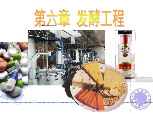 第六章 发酵工程 PPT课件