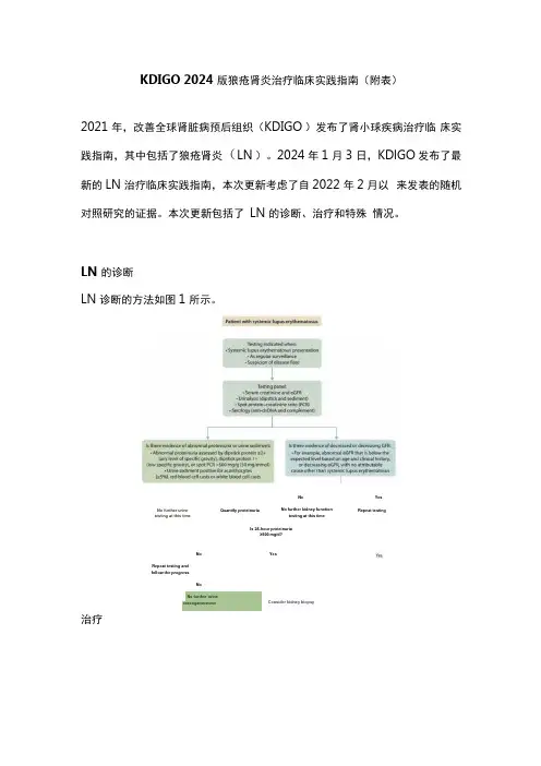KDIGO 2024版狼疮肾炎治疗临床实践指南(附表)