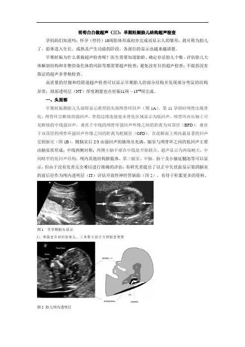 明明白白做超声(三)：早期妊娠胎儿结构超声检查