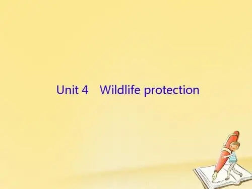高三英语一轮复习Unit4Wildlifeprotection课件新人教版必修2