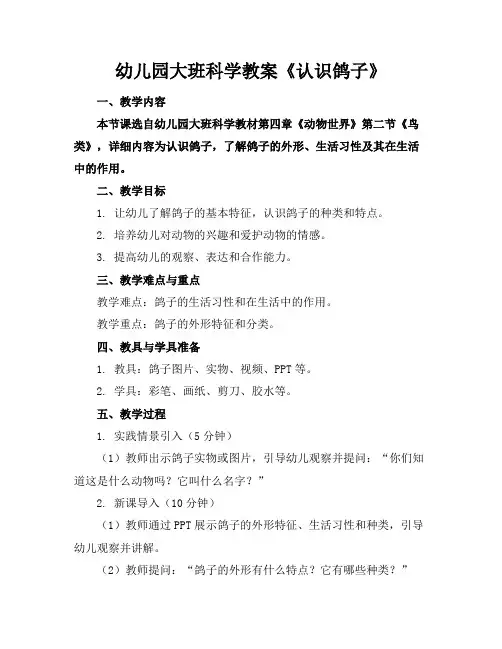 幼儿园大班科学教案《认识鸽子》
