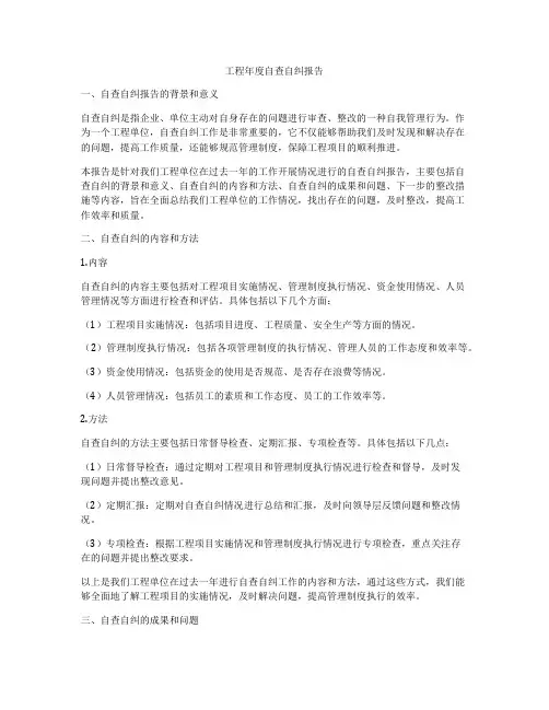 工程年度自查自纠报告