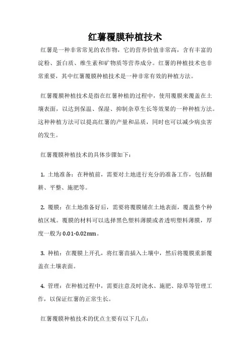 红薯覆膜种植技术