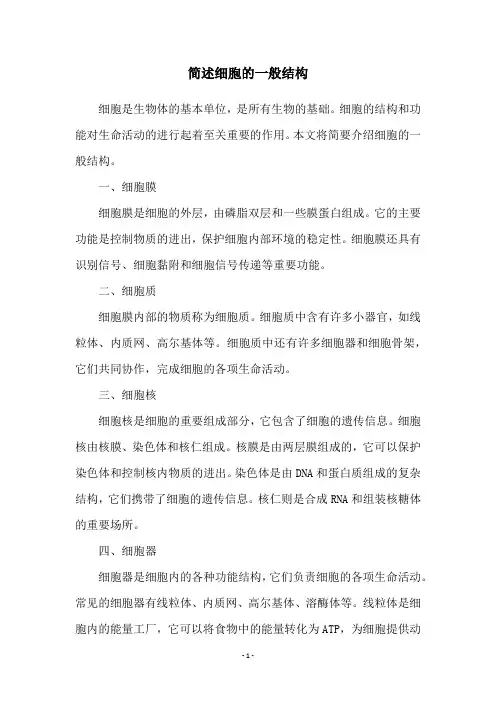 简述细胞的一般结构
