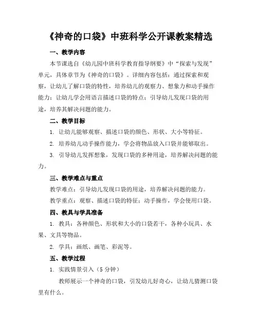 《神奇的口袋》中班科学公开课教案精选