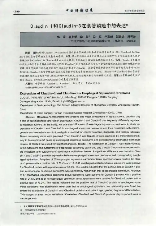 Claudin-1和Claudin-3在食管鳞癌中的表达