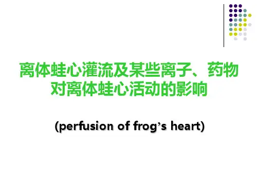 离体蛙心-灌流和影响