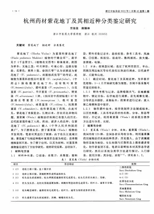 杭州药材紫花地丁及其相近种分类鉴定研究