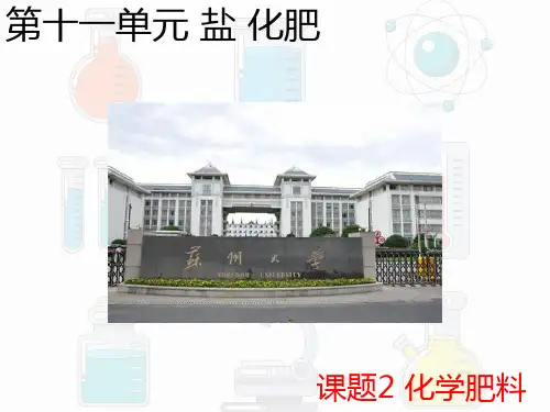 第十一单元 课题二 化学肥料课件  九年级化学人教版下册